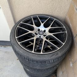 Curva Rims