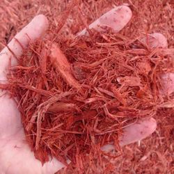 Paint, 1 Gallon.  Opened But Not Used