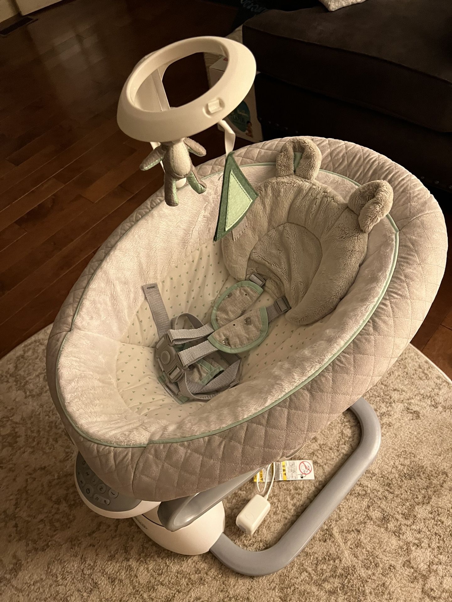 Graco Everyday Soother with Removable Rocker 