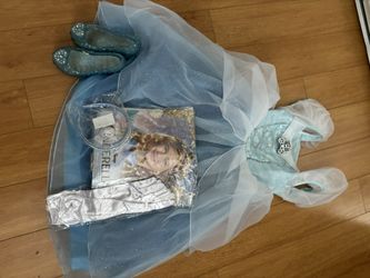 Cinderella Costume