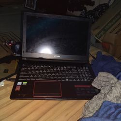 MSI GE63 Raider RGB 95E Laptop 