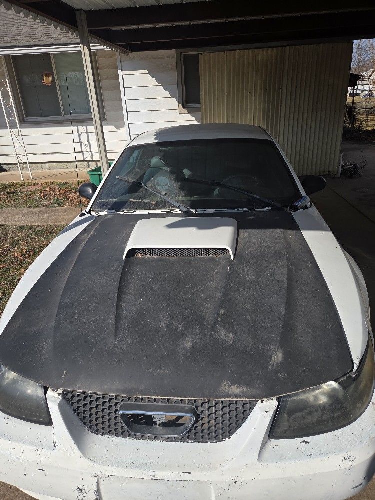 2002 Ford Mustang