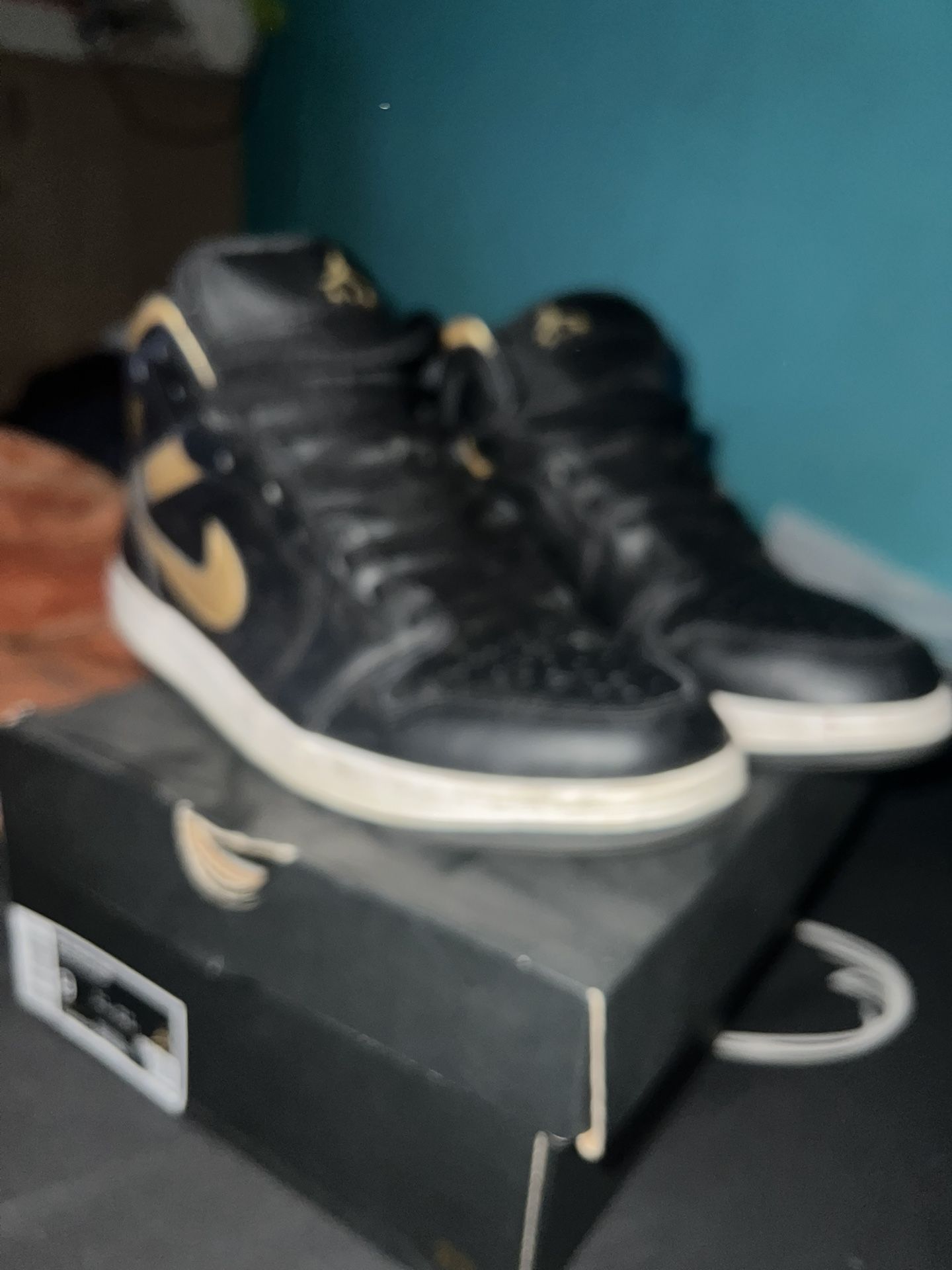 Jordan 1 Mids