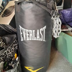 Everlast Punching Bag and gloves- Must pick up