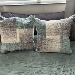 2 West Elm Pillows 