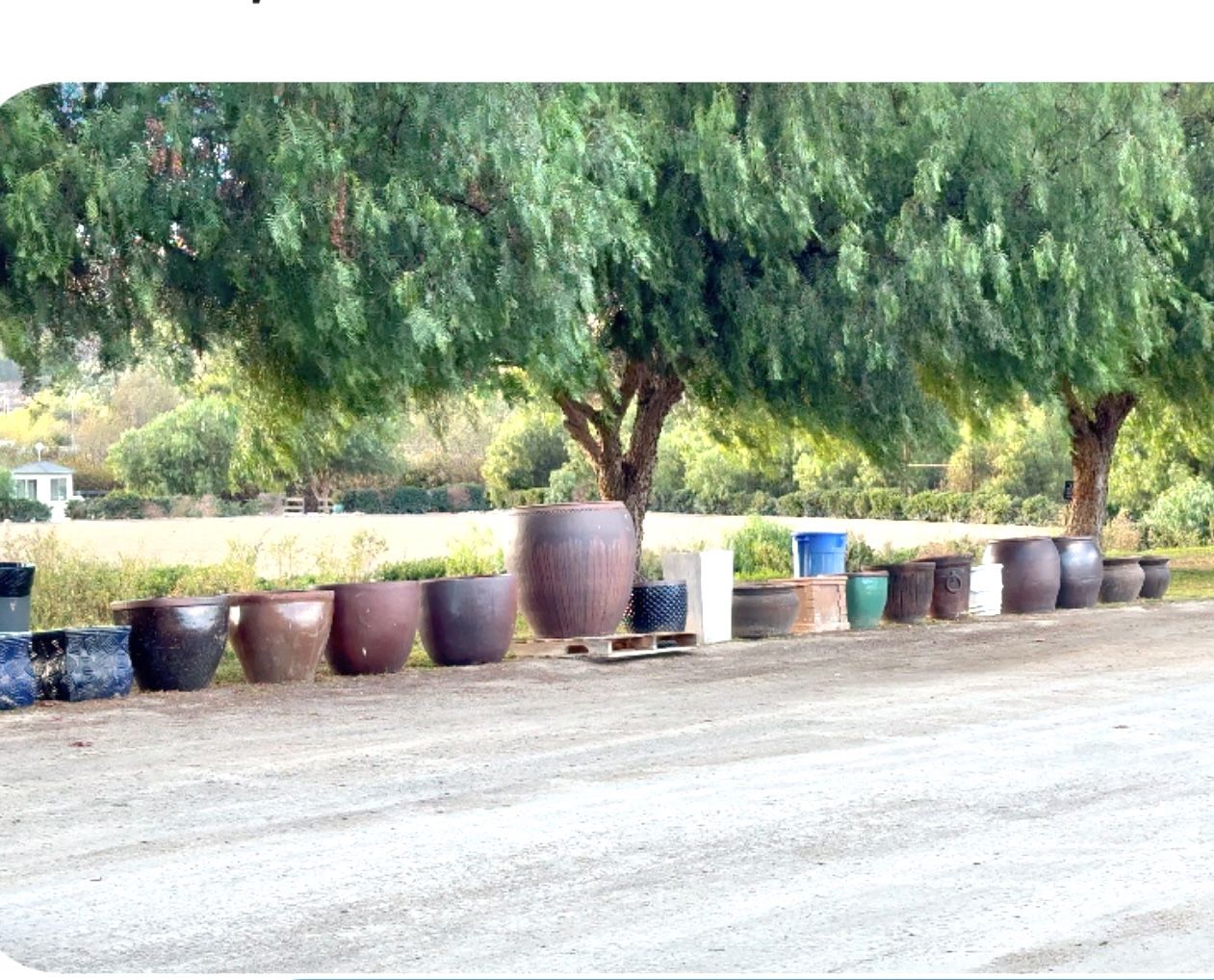 POTS POTS POTS!!!