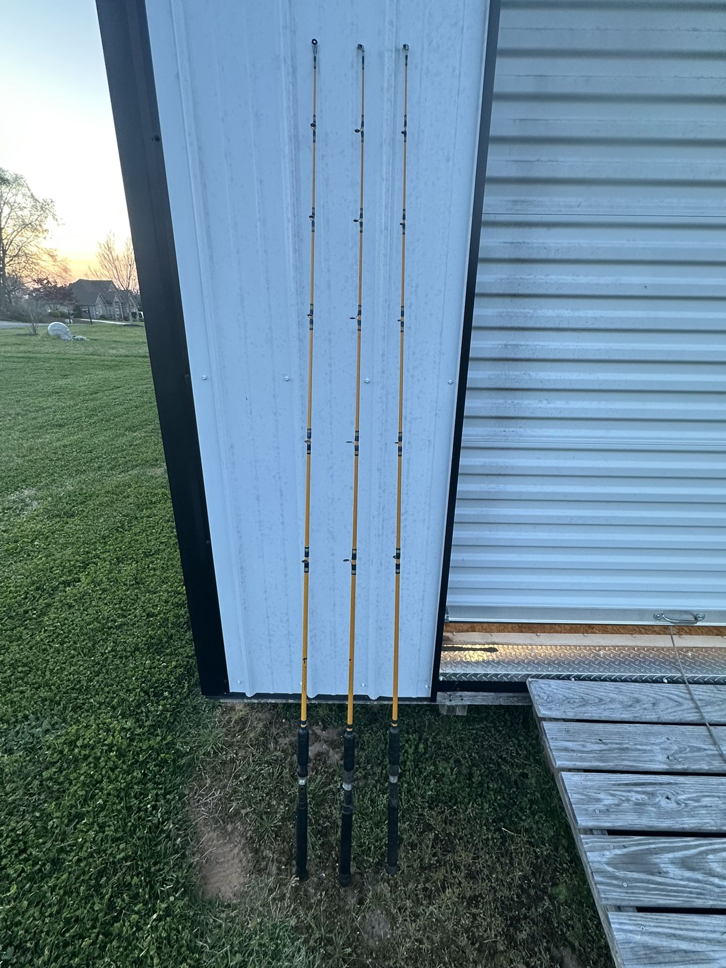 Eagle Claw Fishing Rods