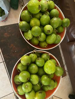 Guayabas