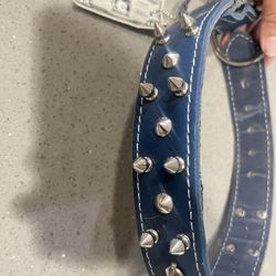 Large Leather Collar