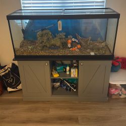 75 Gallon Glass Fish Tank With Stand +