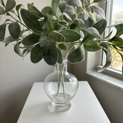 Decorative Flower Plant