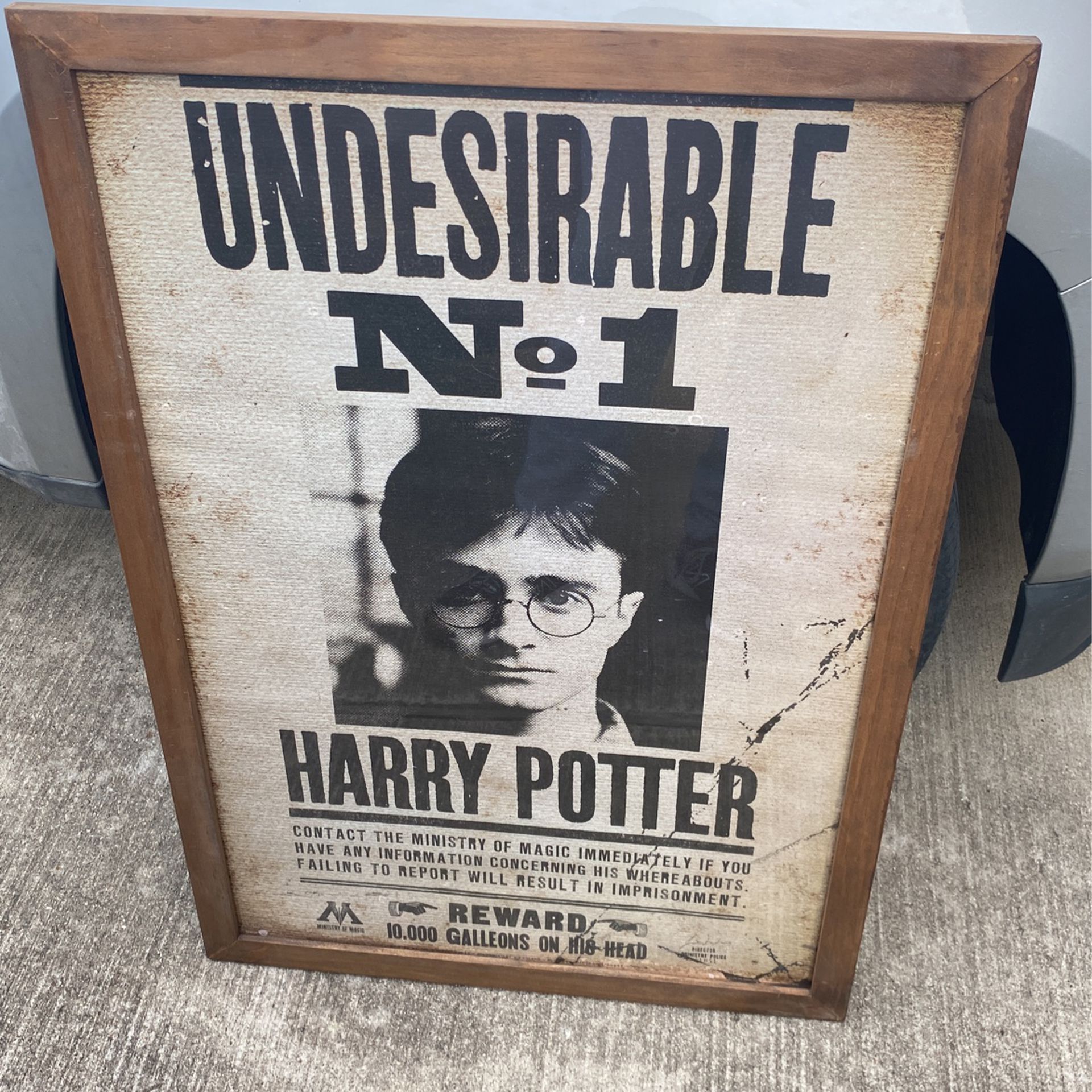 38X26 Harry Potter Undesirable Picture Frame