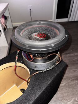 Massive Hippo 12” And Box