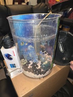 Small fish tank with accessories