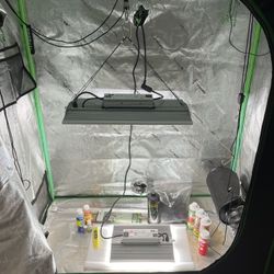 Grow Tent and Accessories 