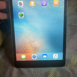 iPad mini Grey 