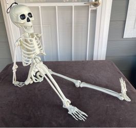 Halloween Skeleton