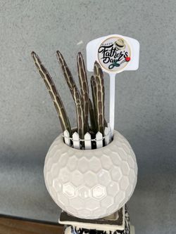 Cactus ( Fathers Day Gift! )