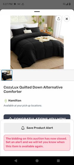 Quilted Down Comforter