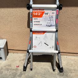 Little Giant Ladder