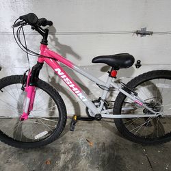 24" Nishiki Mountain Bike