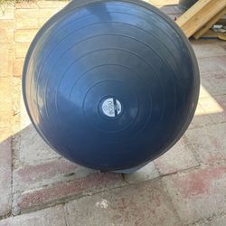 Balance Ball - Bosu Pro