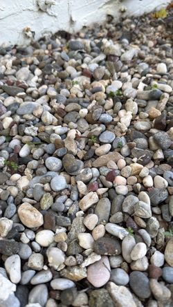 Free Gravel