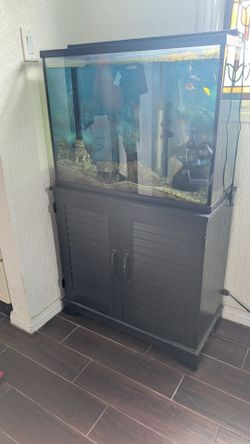 37 gal aquarium