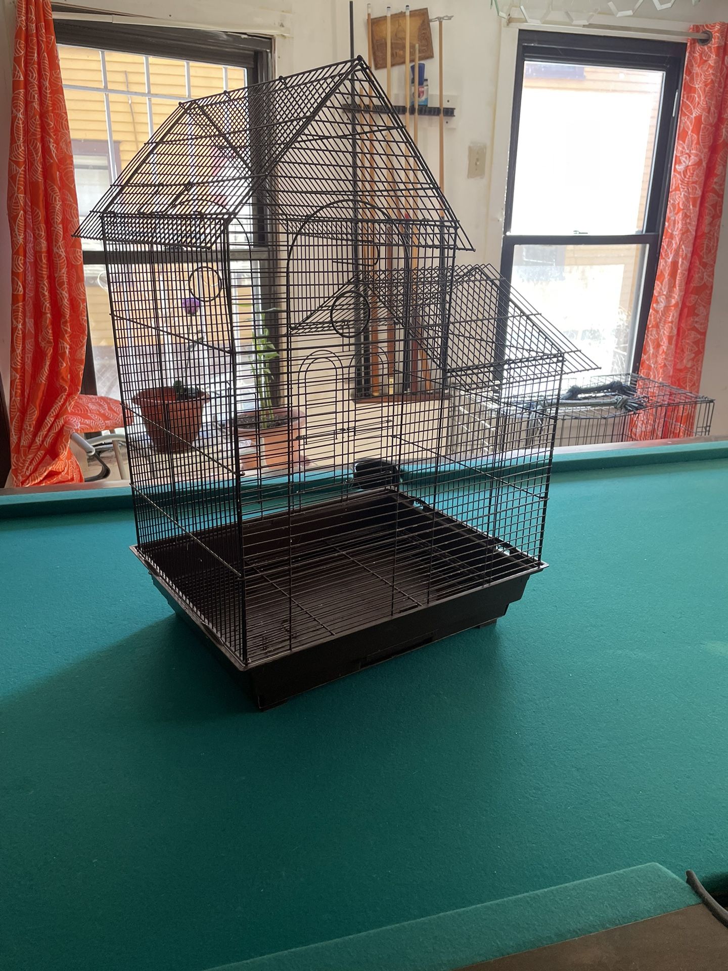 Bird Cage