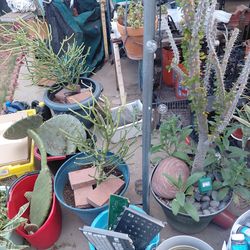 YARD SALE  10AM -3 PMQTODAY 3/22 ALL ITEMS !!!$1/$3/$5!!!