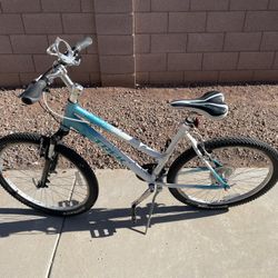 Trek MTB 19 Inch (L)