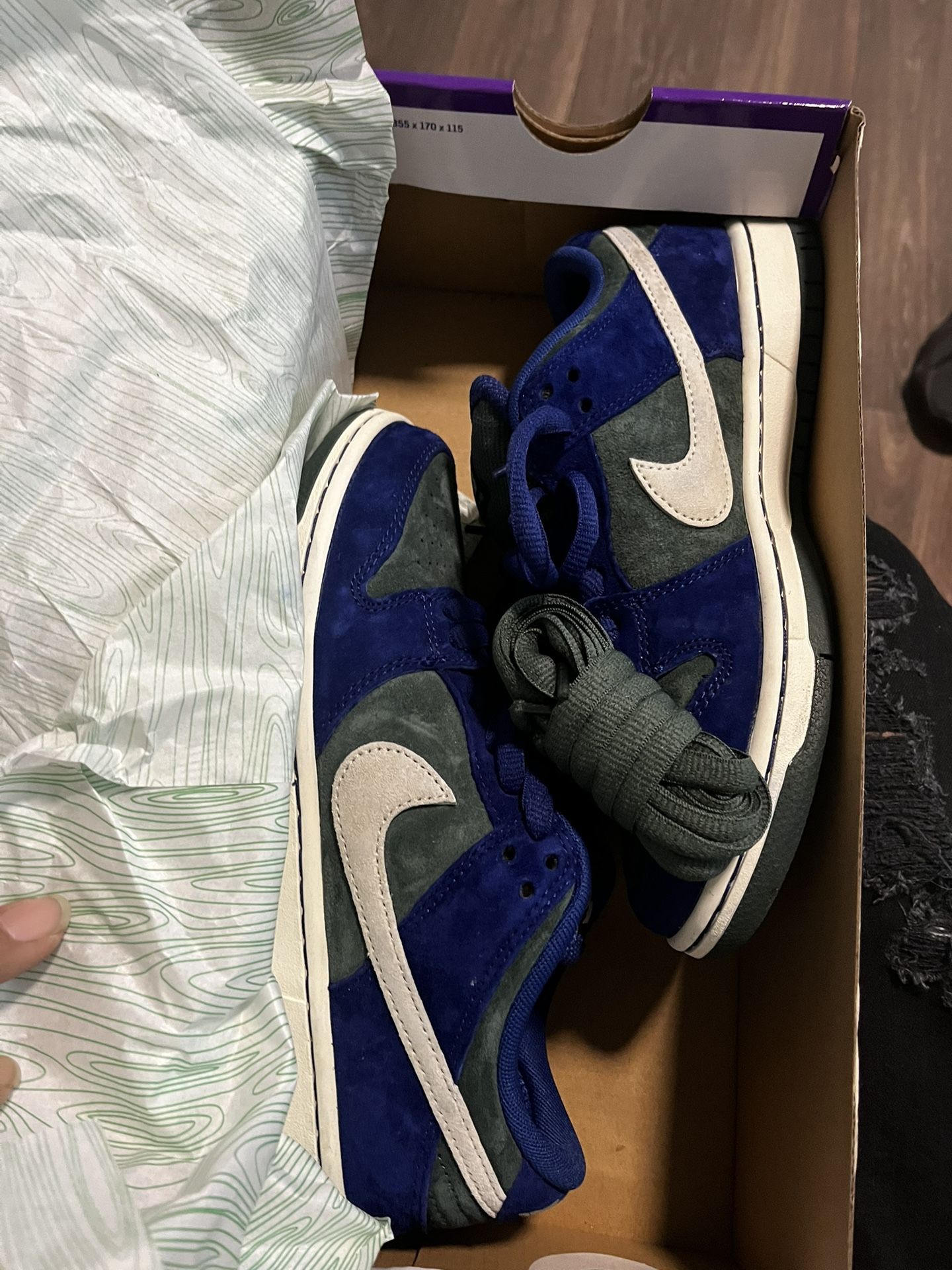 Nike SB