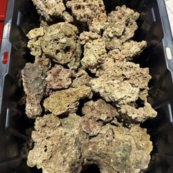 Live Rock | Dry Rock | Reef Tank