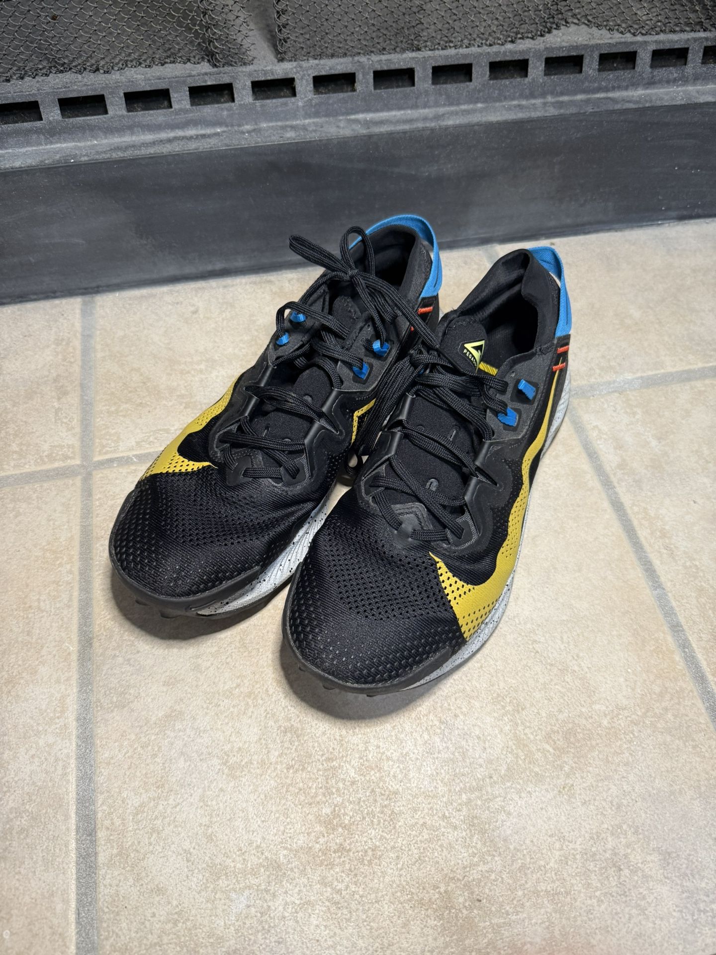 Nike Pegasus Trail 2 Running Shoes Mens 10.5 Black CK4305-001 No Box