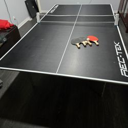 Ping Pong Table