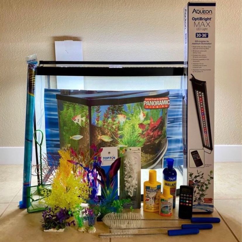 26 gallon fish tank accessories Aquarium Corner Cave Hide Axolotl Cichlid Cave Accessories, Corner Fish Aquarium Cave Hide with Viewing Window, Terrarium/ Aquarium Underground Natural Cave : Pet Supplies quality aquarium made of white glass Aquarium Starter 26 Gallon Bow