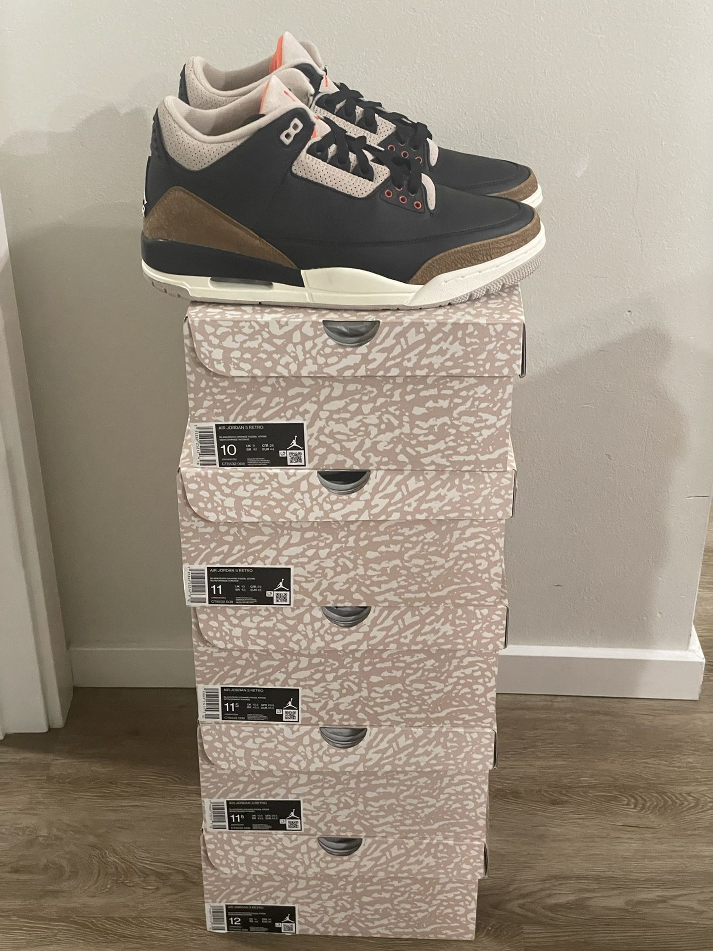 Jordan Desert Elephant