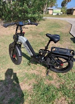 Ccrusher Fat Tire Electric Bike