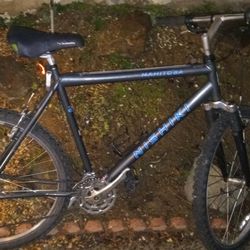 Nishiki Manitoba Mountain Bike