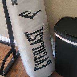 Punching Bag 
