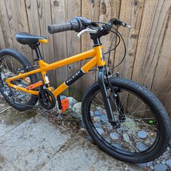 Raleigh Rowdy 20 Inch Kid Mountain/Road Bike