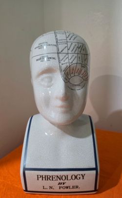 Phrenology Head Bust L.N. Fowler Medical Psychology 9" Porcelain Painted Display