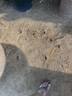Decompose Granite/DG