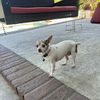 jack