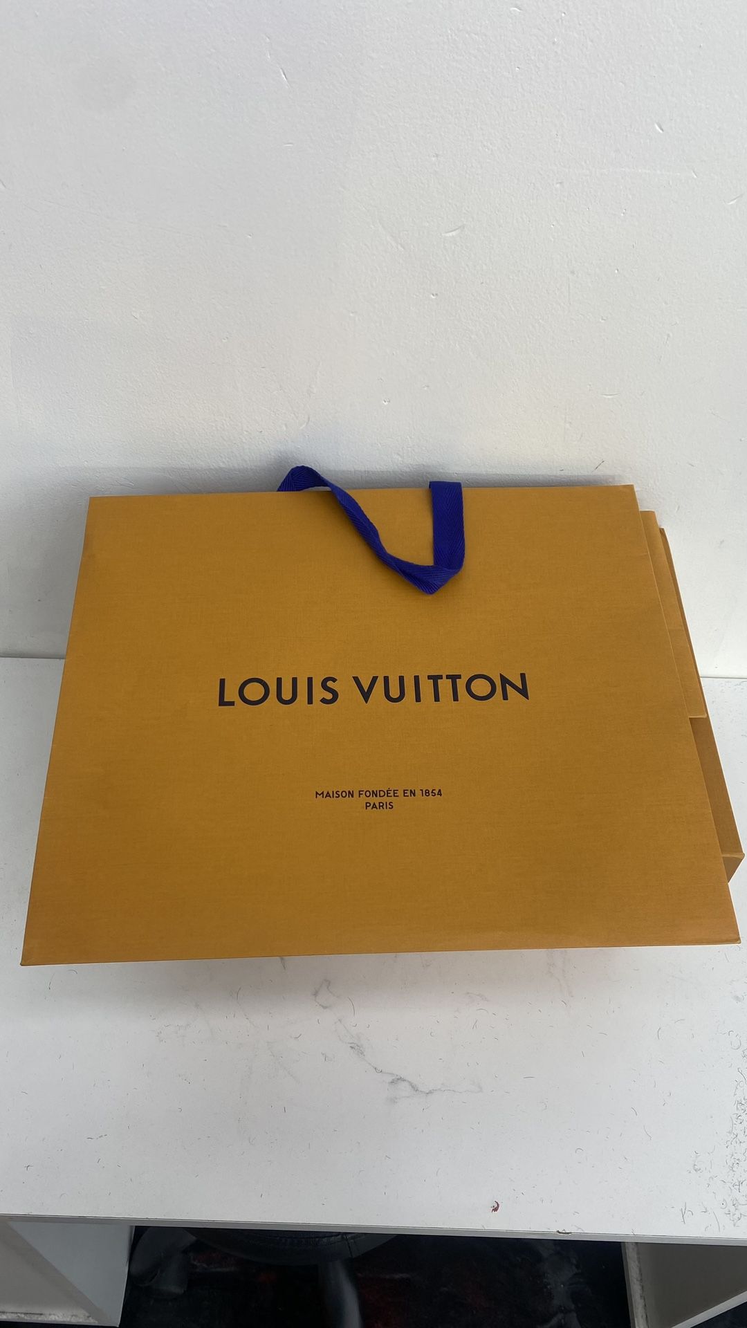 Louis Vuitton Empty Bag For Sale  20$ Each