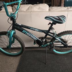 20-inch Genesis Inspire BMX-style bike manufactured by Dynacraft