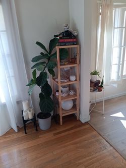 Shelf
