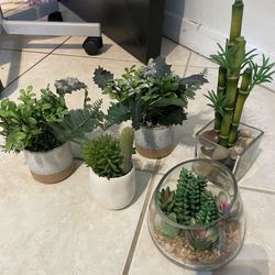 Fake plants $4 / $3 (can be sold separately)