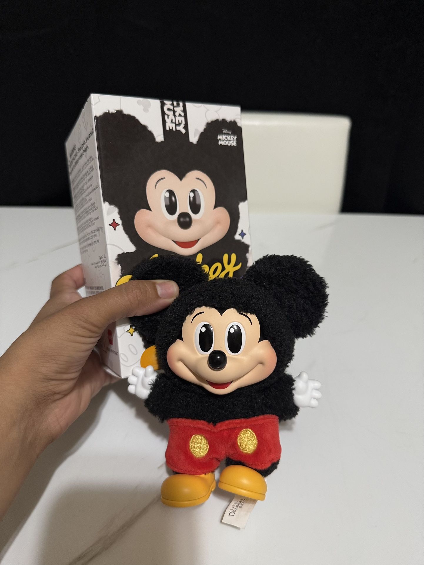 Mickey family /mickey