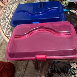 2 Cake Pans With Lid